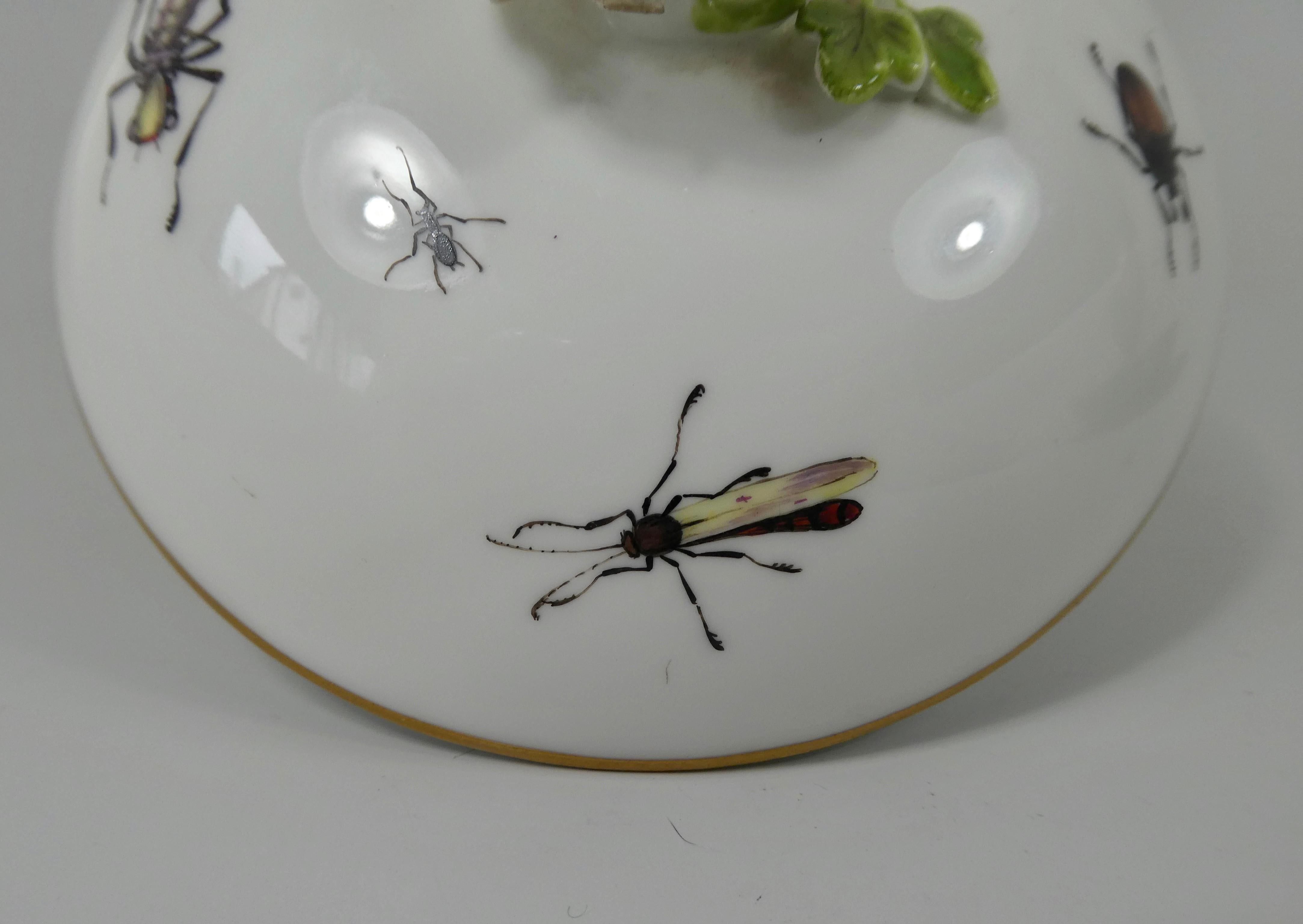 Sucrier et couvercle en porcelaine de Meissen:: peint d'insectes:: vers 1740 6