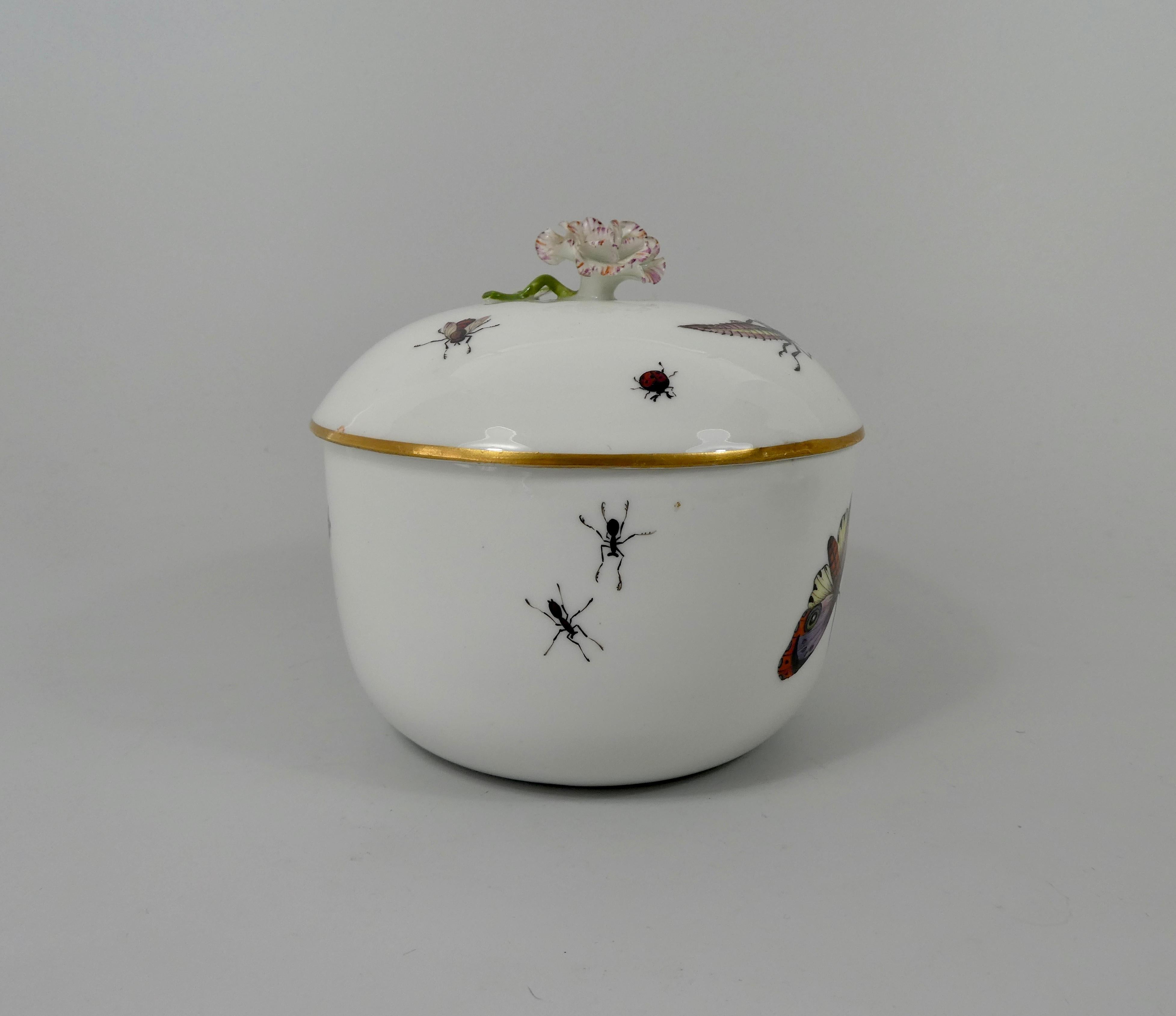 Sucrier et couvercle en porcelaine fine de Meissen:: vers 1740. Le sucrier finement peint avec une étude d'un papillon de nuit:: et d'autres insectes. Le couvercle en forme de dôme:: doublé de dorure:: décoré de la même manière:: et surmonté d'un