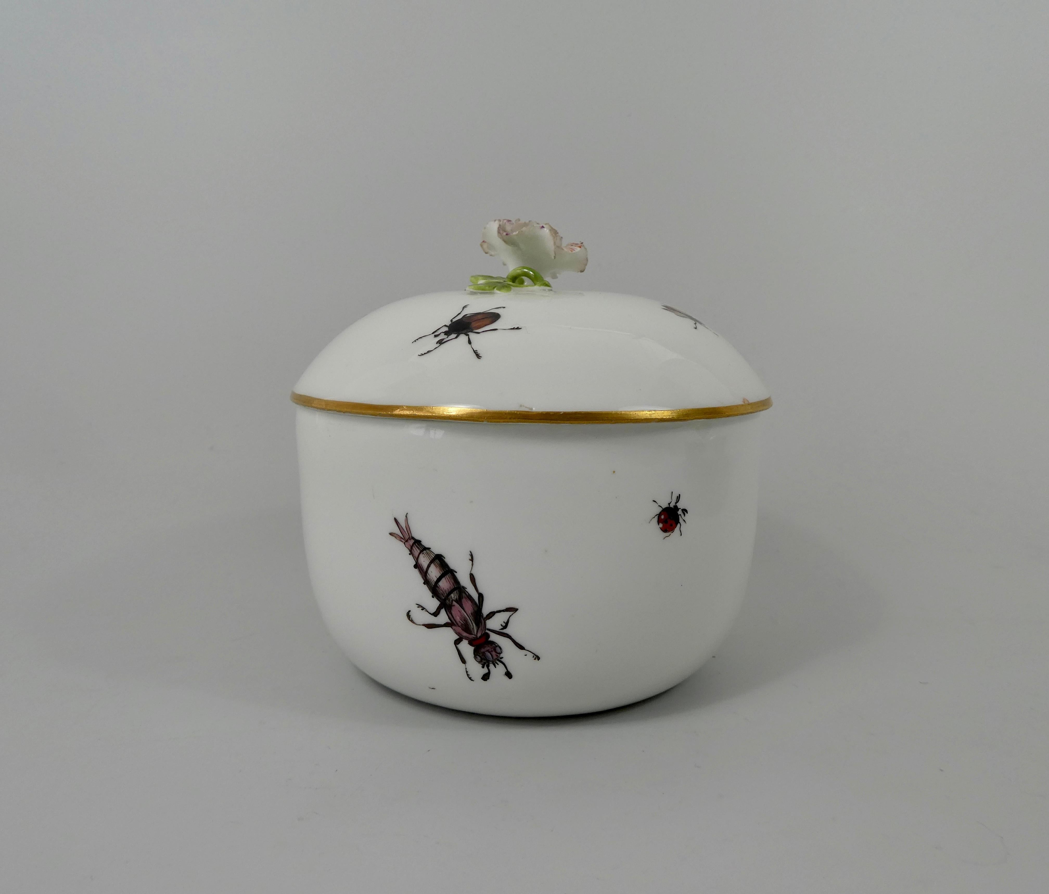 Autre Sucrier et couvercle en porcelaine de Meissen:: peint d'insectes:: vers 1740