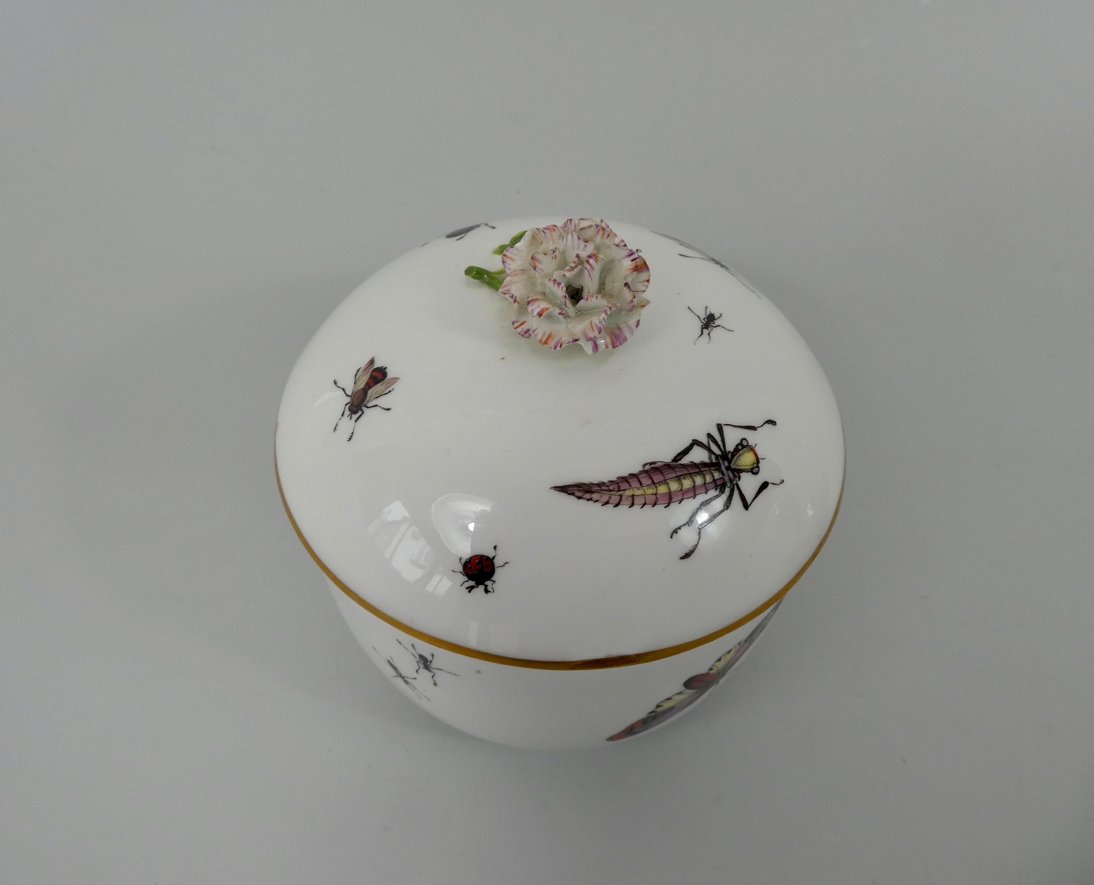Cuit Sucrier et couvercle en porcelaine de Meissen:: peint d'insectes:: vers 1740