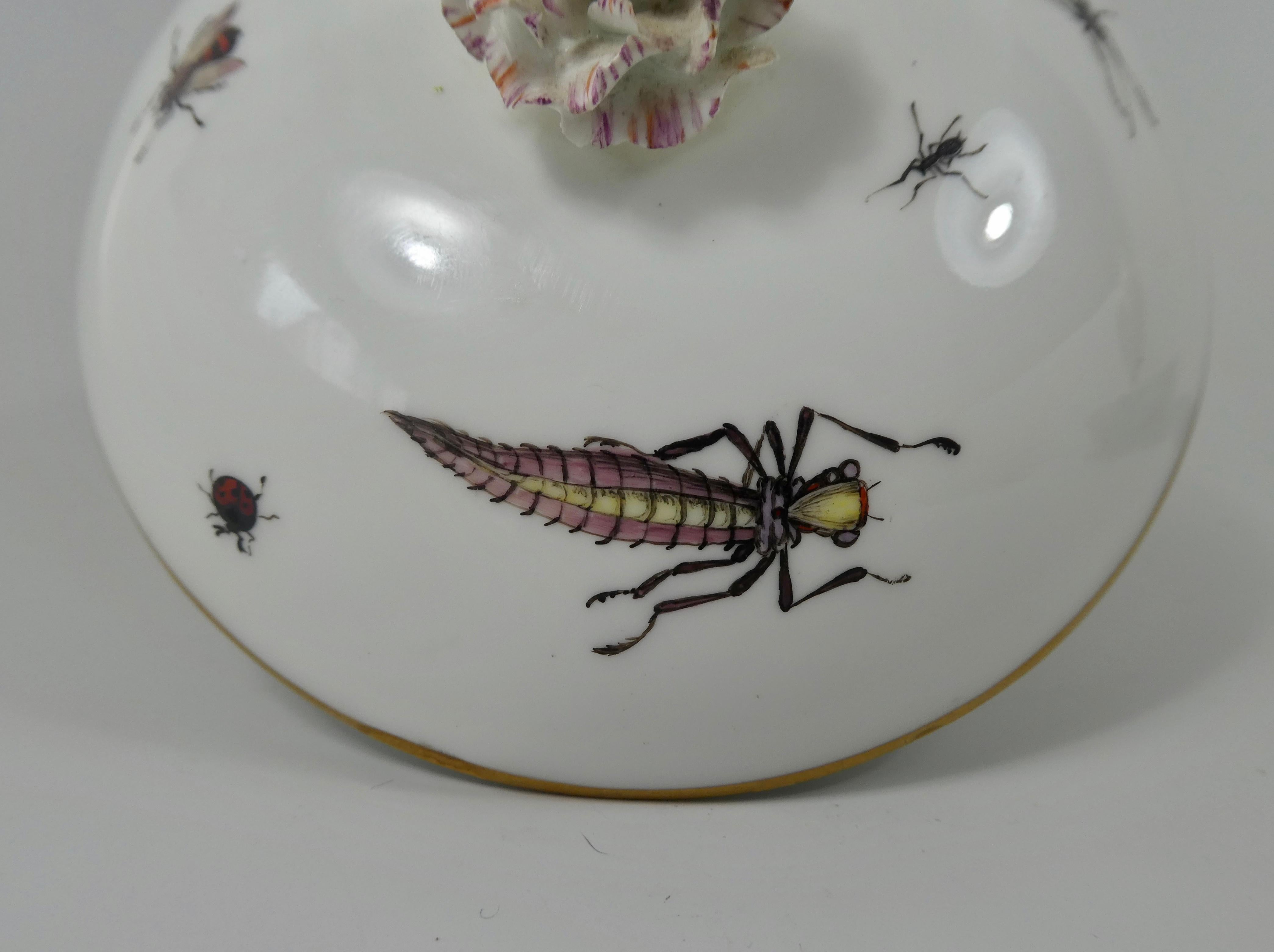 Milieu du XVIIIe siècle Sucrier et couvercle en porcelaine de Meissen:: peint d'insectes:: vers 1740