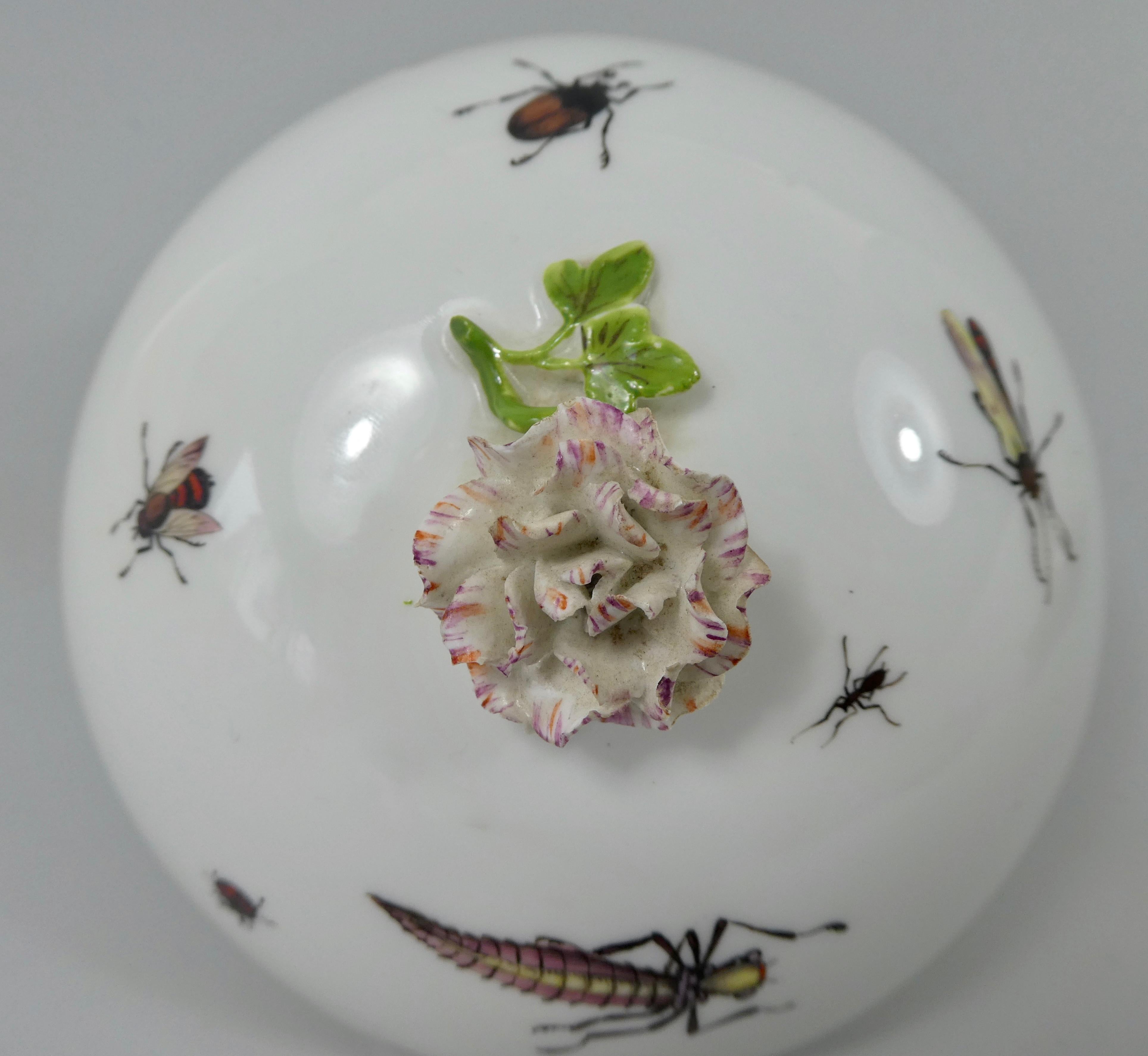 Porcelaine Sucrier et couvercle en porcelaine de Meissen:: peint d'insectes:: vers 1740