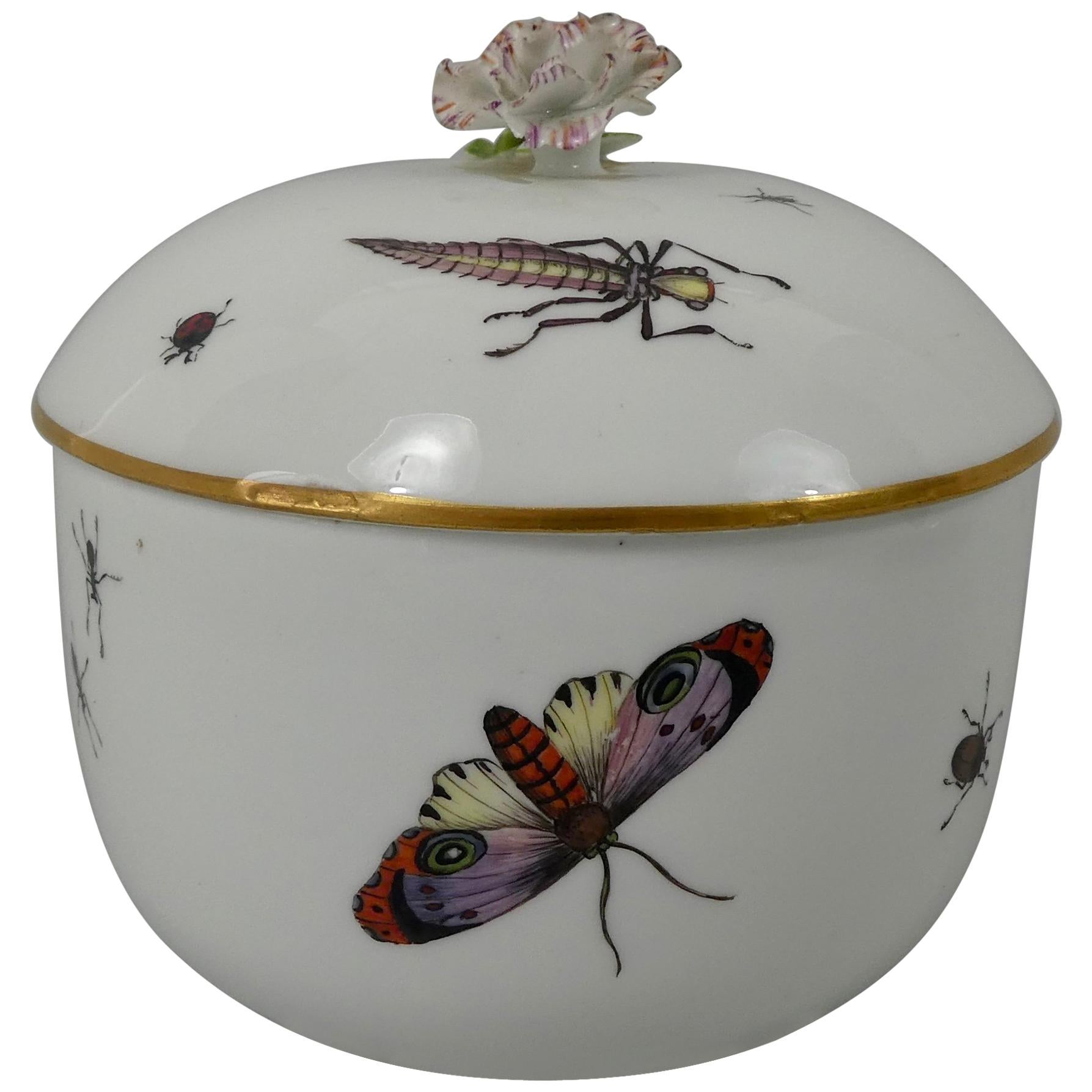 Sucrier et couvercle en porcelaine de Meissen:: peint d'insectes:: vers 1740