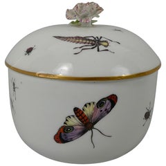 Meissen Porcelain Sucrier and Cover, Painted with Insects, circa 1740