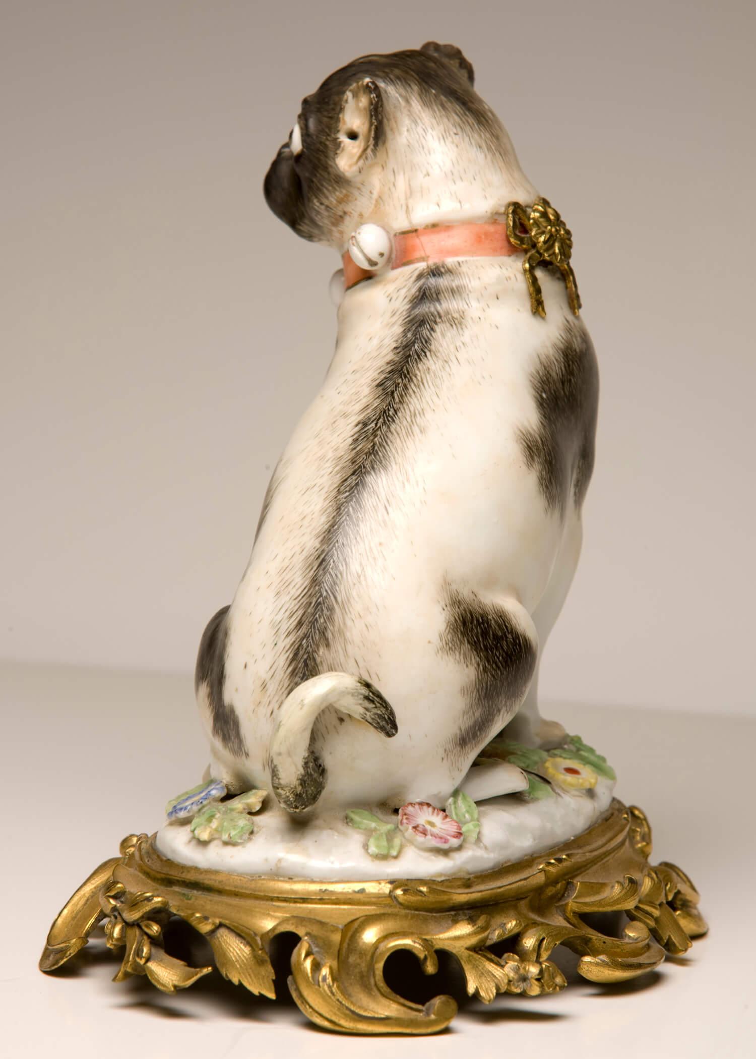 A fine Meissen pug dog modelled by Kaendler, on a gilt bronze rococo base. Please note at least two repairs, one to the tail and secondly the ornament at the back of the dogs head replaces a porcelain ball.
