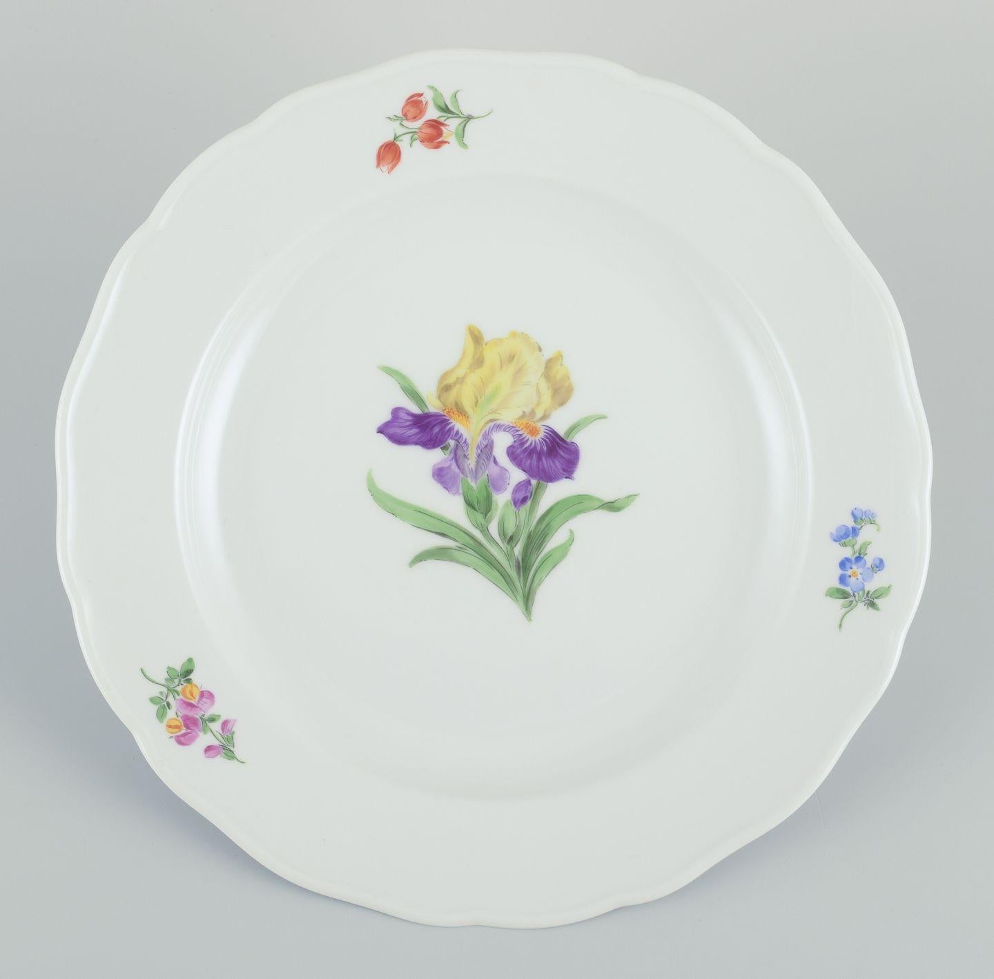 Los productos de segunda mano están exentos de derechos de importación para los clientes estadounidenses. 
Por lo tanto, no se aplicarán aranceles de importación a tu compra.

Meissen, juego de cinco platos llanos de porcelana.
Pintado a mano con