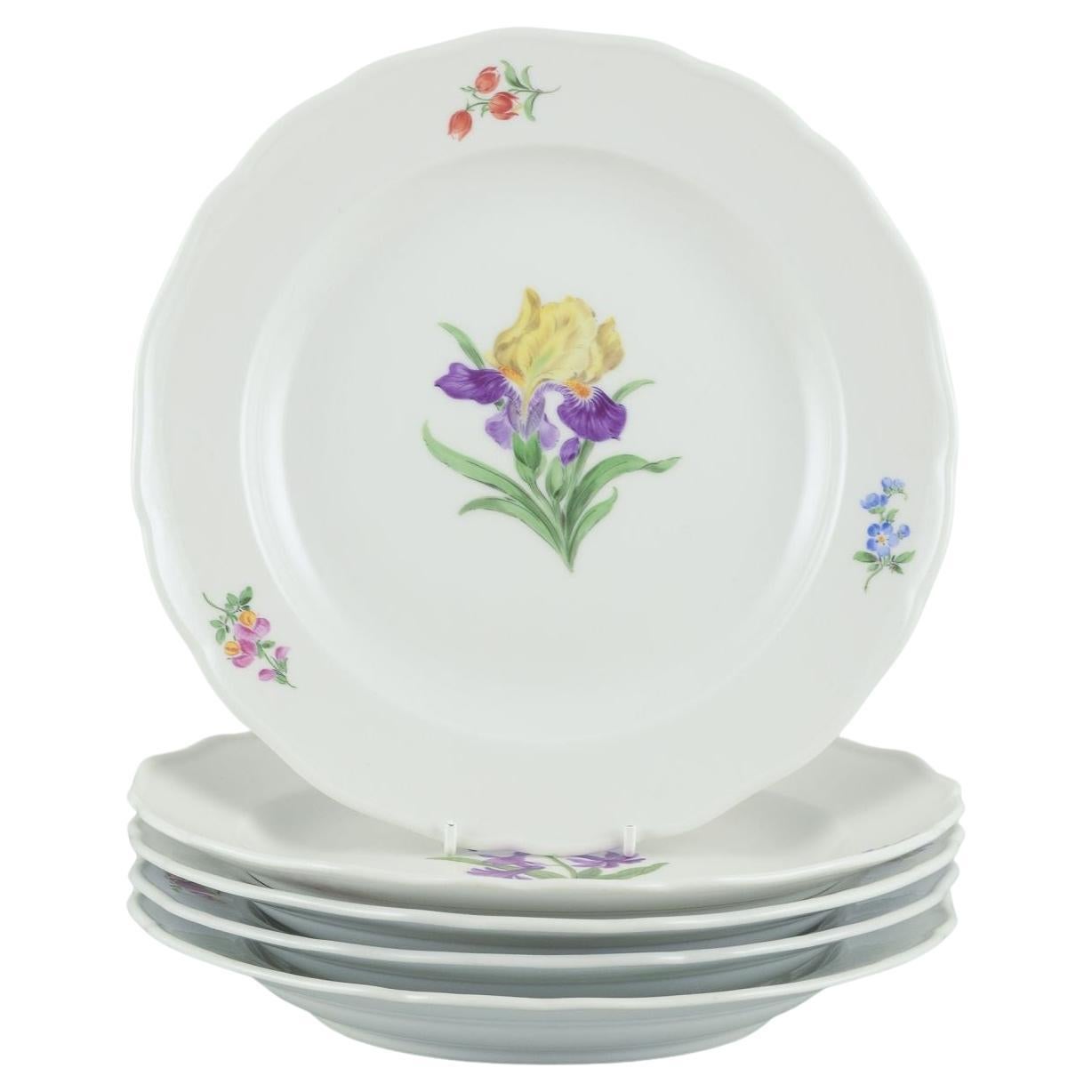 Meissen, juego de cinco platos llanos de porcelana con diversos motivos florales