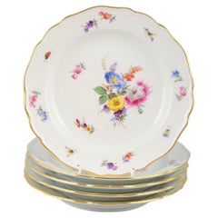 Meissen Porcelain, ensemble de cinq assiettes en porcelaine. Peint à la main avec divers motifs floraux.