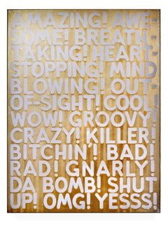 "Amazing" etched mirror limited edition print by American artist Mel Bochner