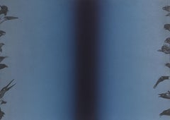 Il linguaggio degli uccelli, acquaforte concettuale con acquatinta di Mel Chin