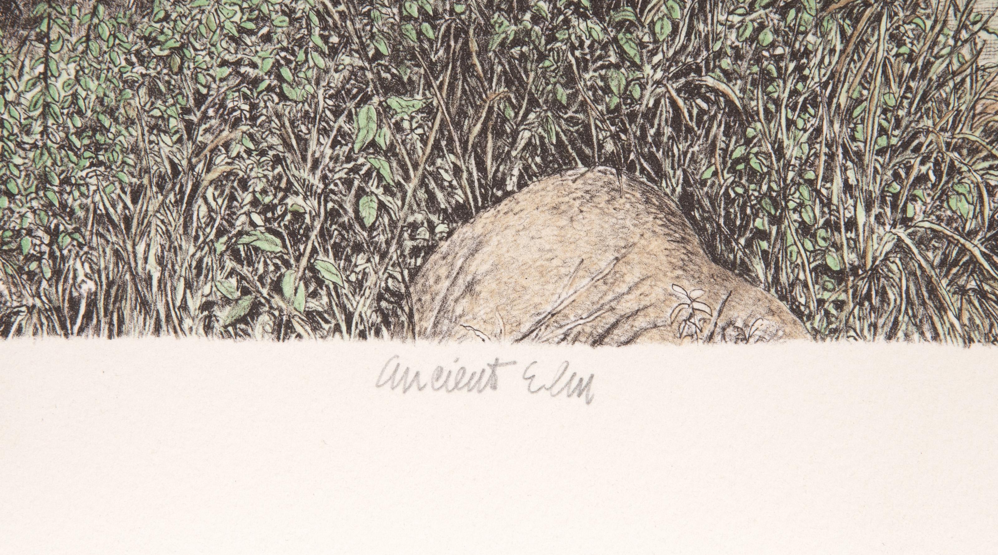 Ancient Elm, American Realist Lithograph by Mel Hunter For Sale 4