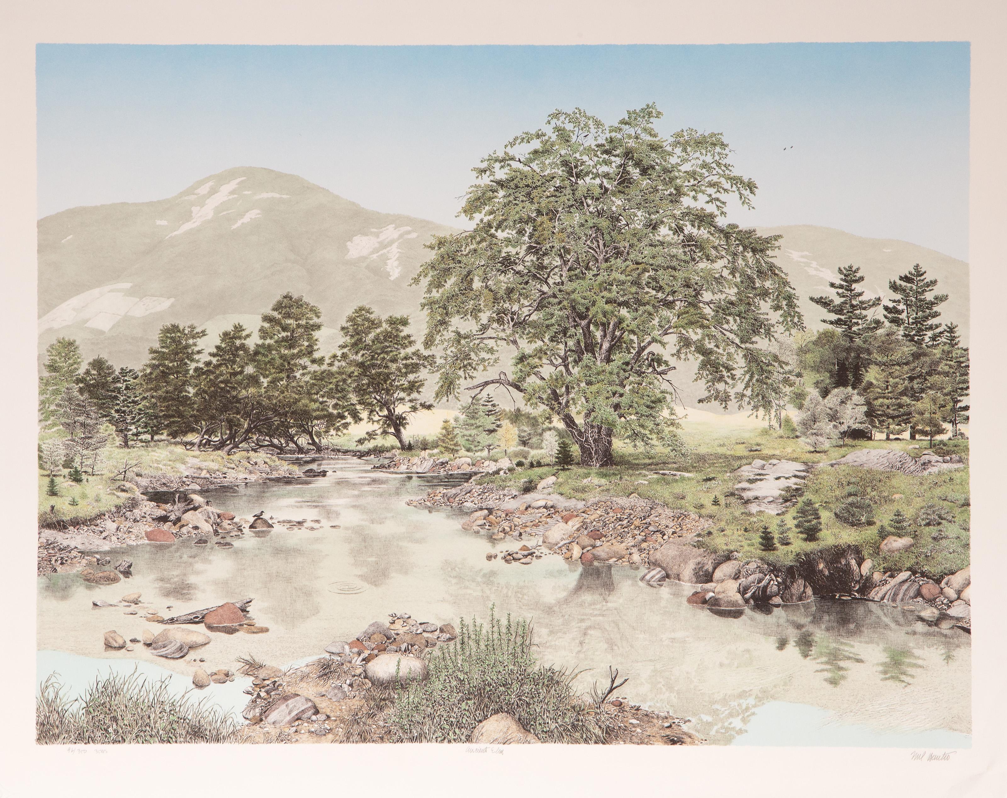 Ancient Elm, litografia realista americana di Mel Hunter