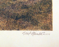 Araber, Amerikanischer Realistischer Pferdesport Lithographie von Mel Hunter