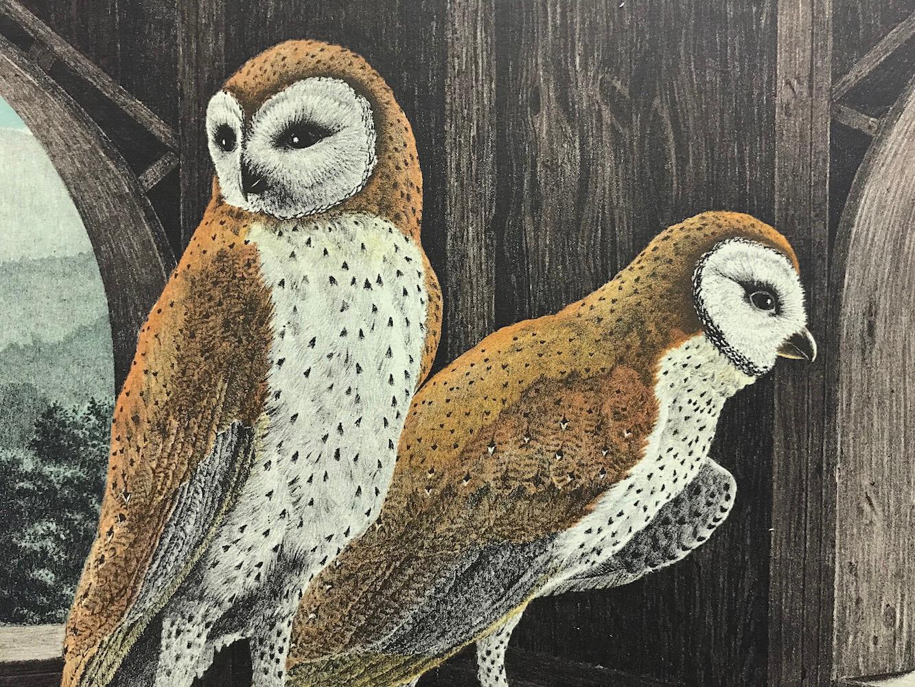 BARN OWLS Signed Lithograph, Bird Portrait, Rustic Barn Loft, Earthy Browns - Print by Mel Hunter