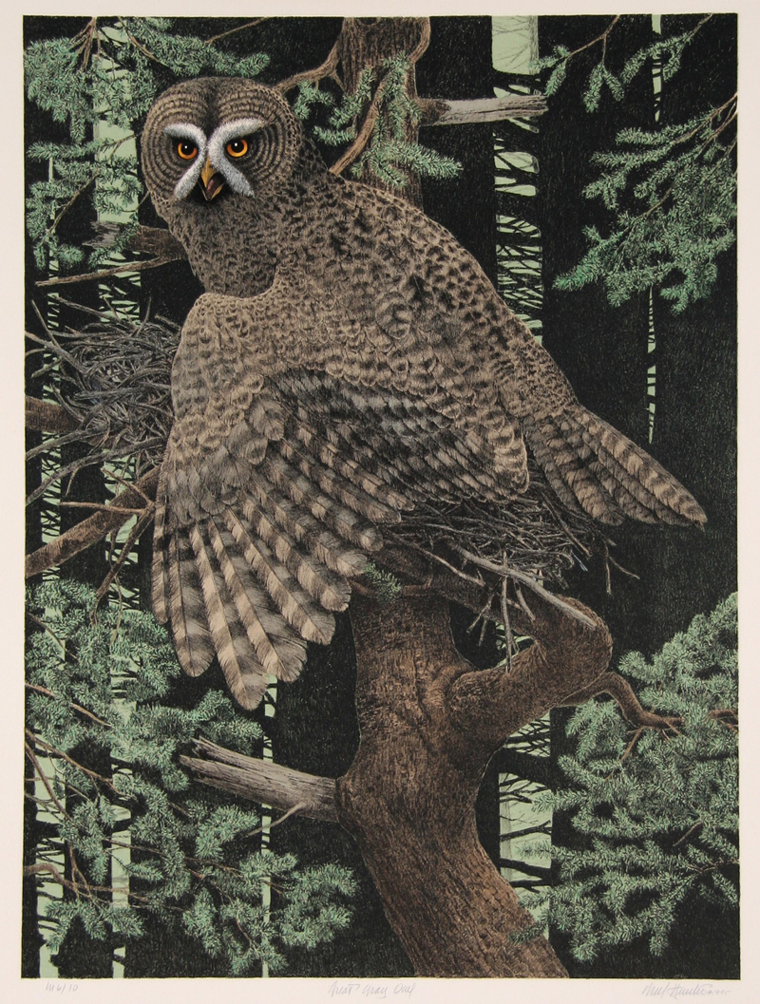 Grand Hibou gris, lithographie réaliste américaine de Mel Hunter