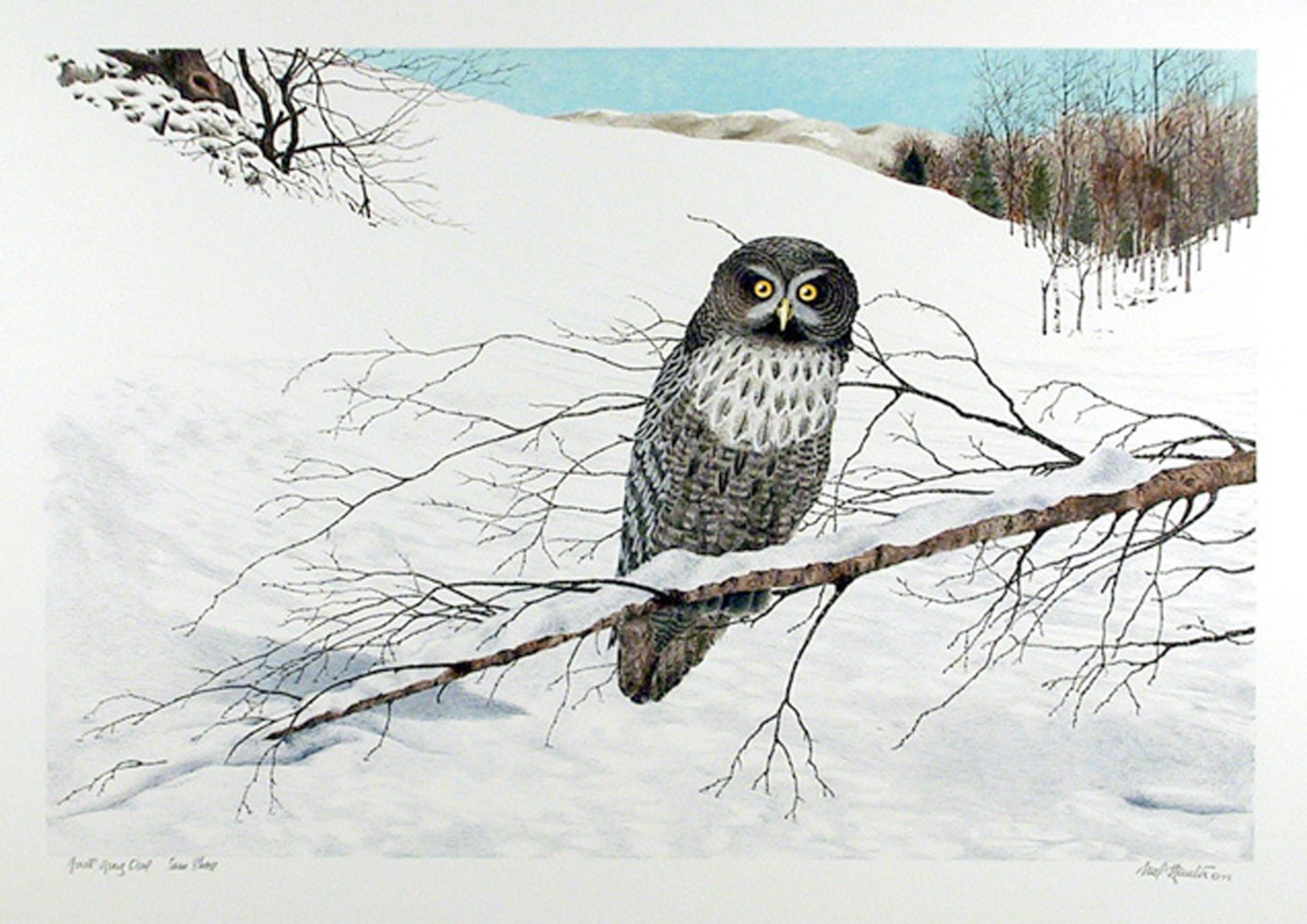 Große graue Eule (Winter), amerikanische realistische Lithographie von Mel Hunter