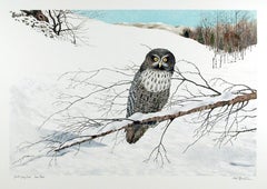 Grande gufo grigio (inverno), litografia realista americana di Mel Hunter