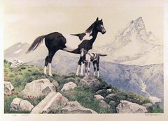 Pinto, lithographie réaliste américaine de Mel Hunter