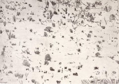 "Dry", landscape etching print, Anzo Borrega Desert, soft black on buff.