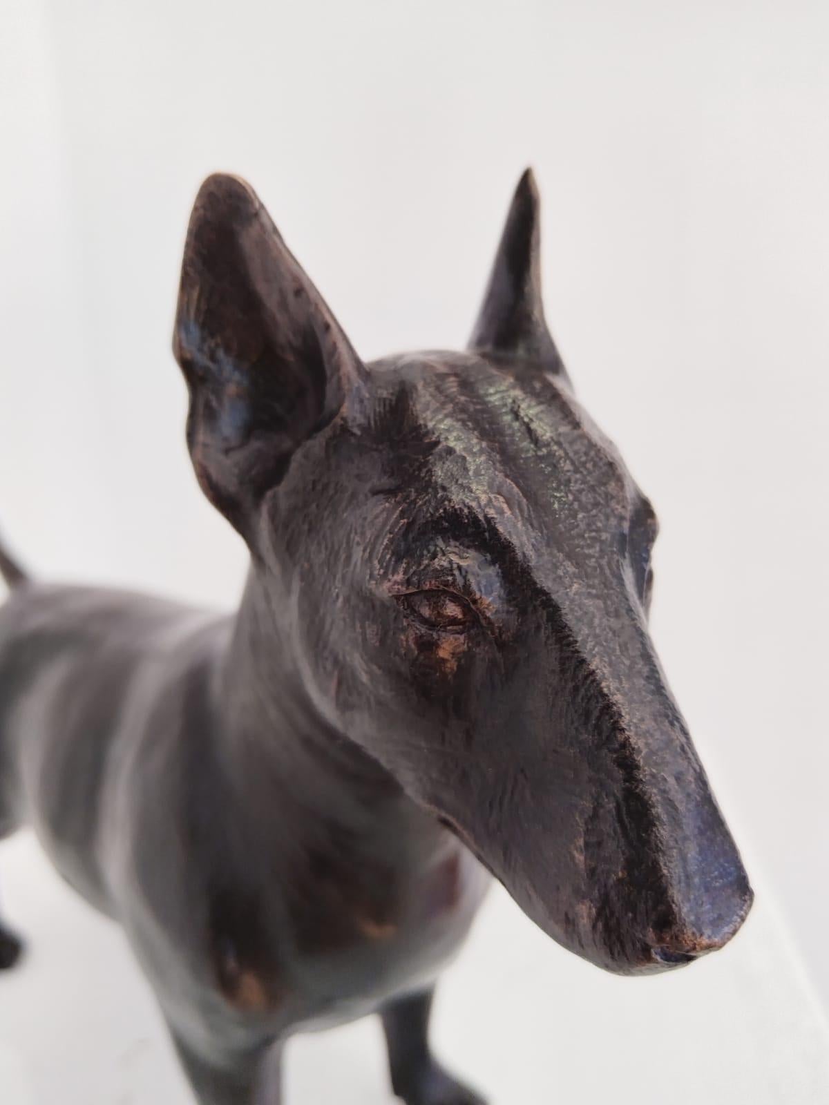 Una pequeña escultura de Bull Terrier de bronce de edición limitada. Edición 2 de 12.
ENVÍO GRATUITO