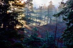 Daybreak, Daniel's Pass