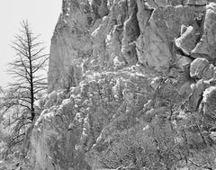 Einsame Kiefer, Waldo Canyon