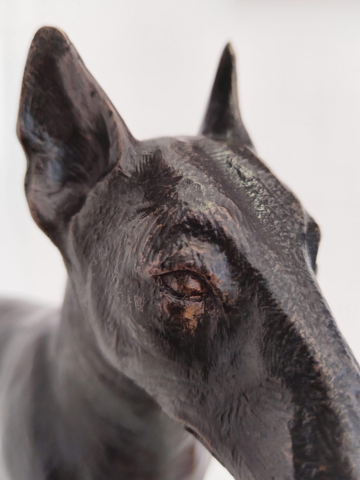 Une petite sculpture en bronze de Bull Terrier en édition limitée. Édition 2 de 12.
LIVRAISON GRATUITE