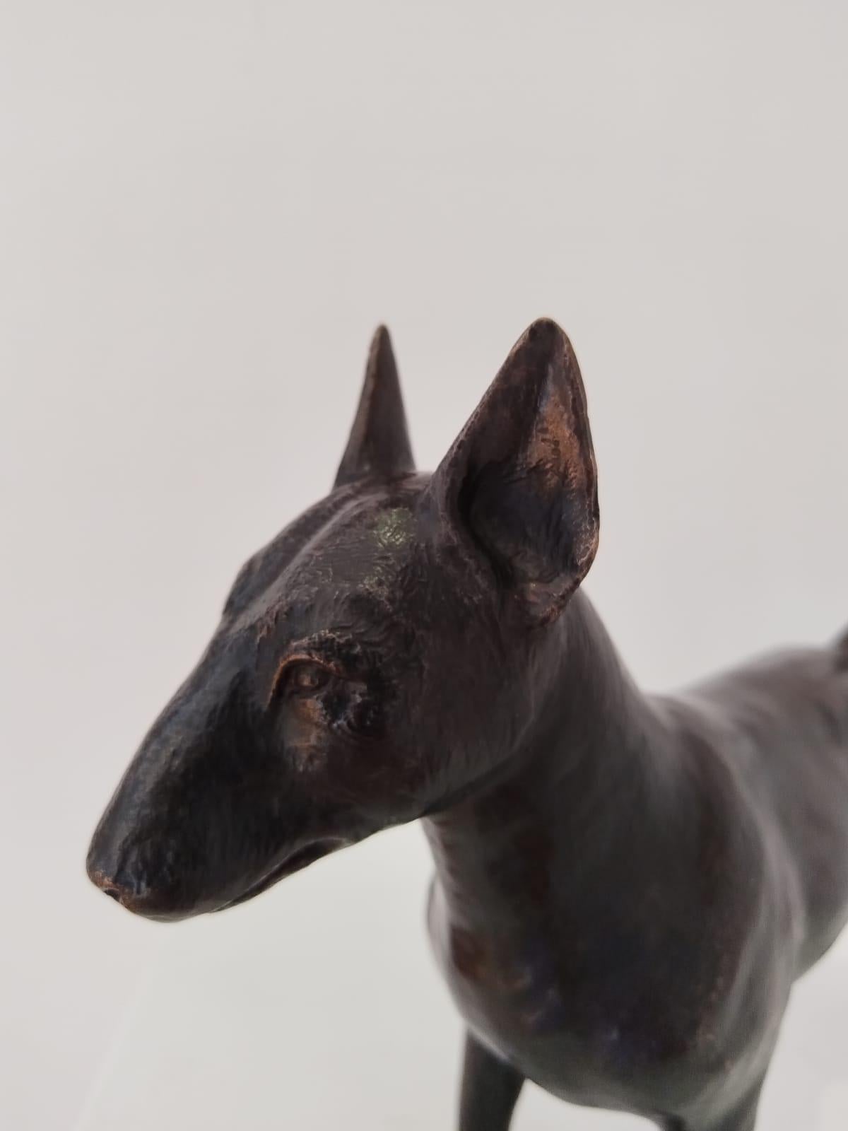 Bronzeskulptur „Bull Terrier 2/12“ in limitierter Auflage im Angebot 3