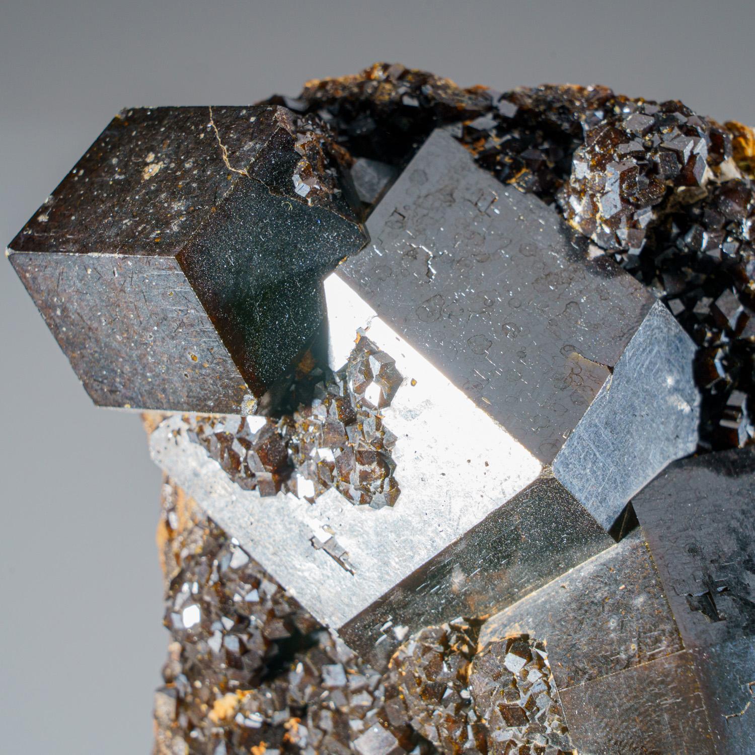Melanit-Granatkristall aus der Mine Ojos Españoles, Chihuahua, Mexiko im Zustand „Neu“ im Angebot in New York, NY