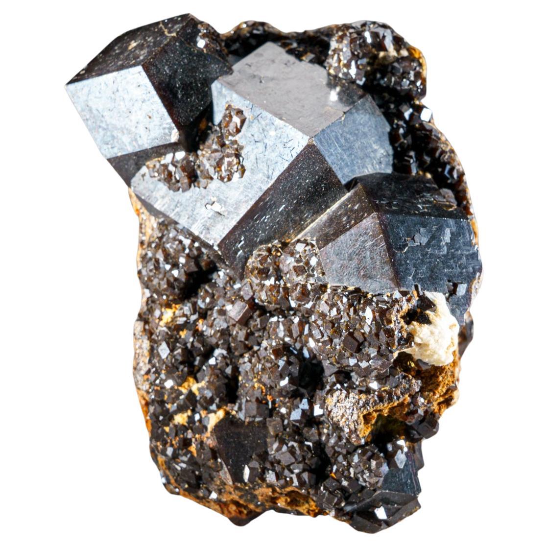 Melanit-Granatkristall aus der Mine Ojos Españoles, Chihuahua, Mexiko im Angebot