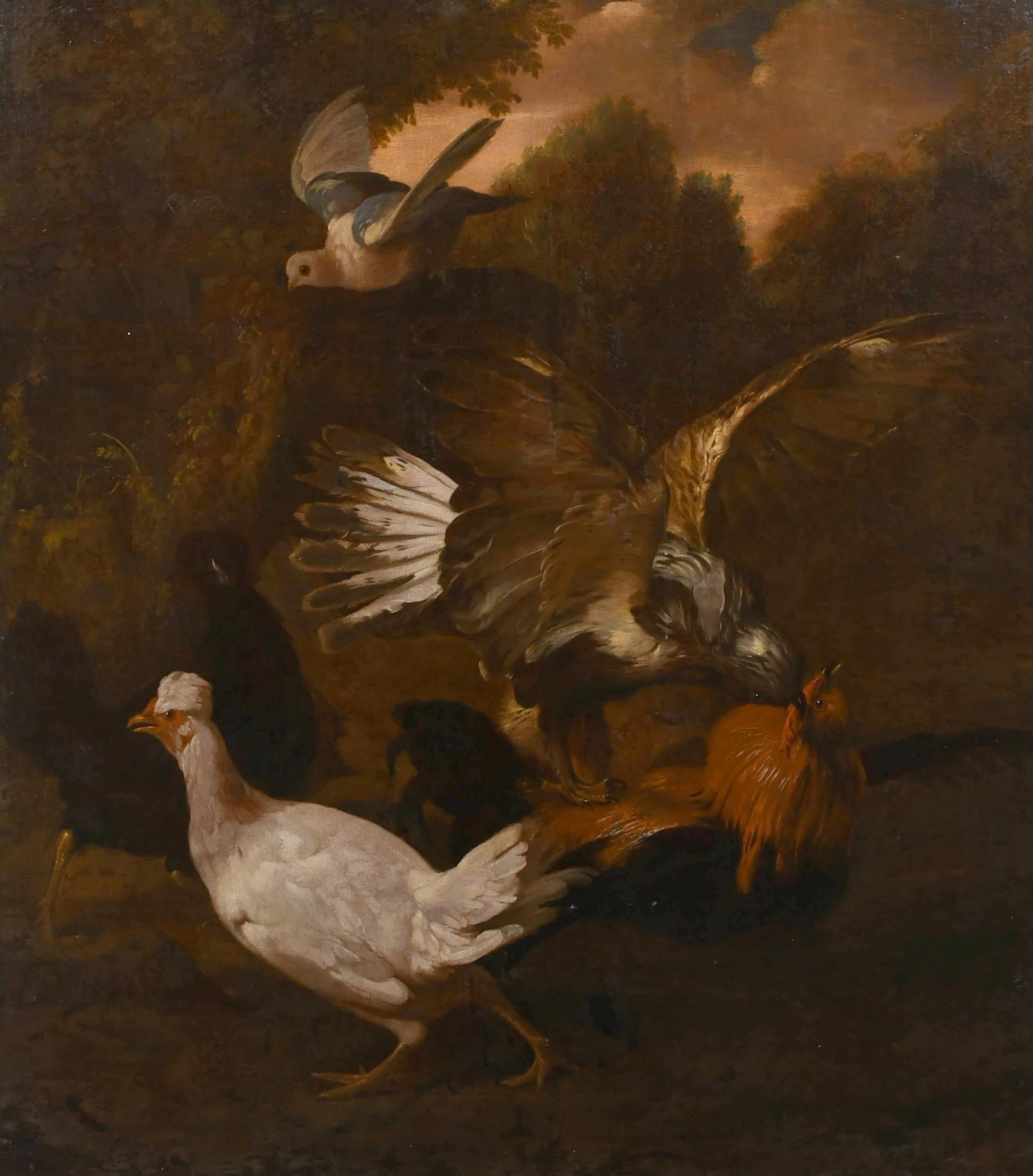 Huge 17th Century Dutch Old Master Oil Painting Wild Ornamental Birds Landscape