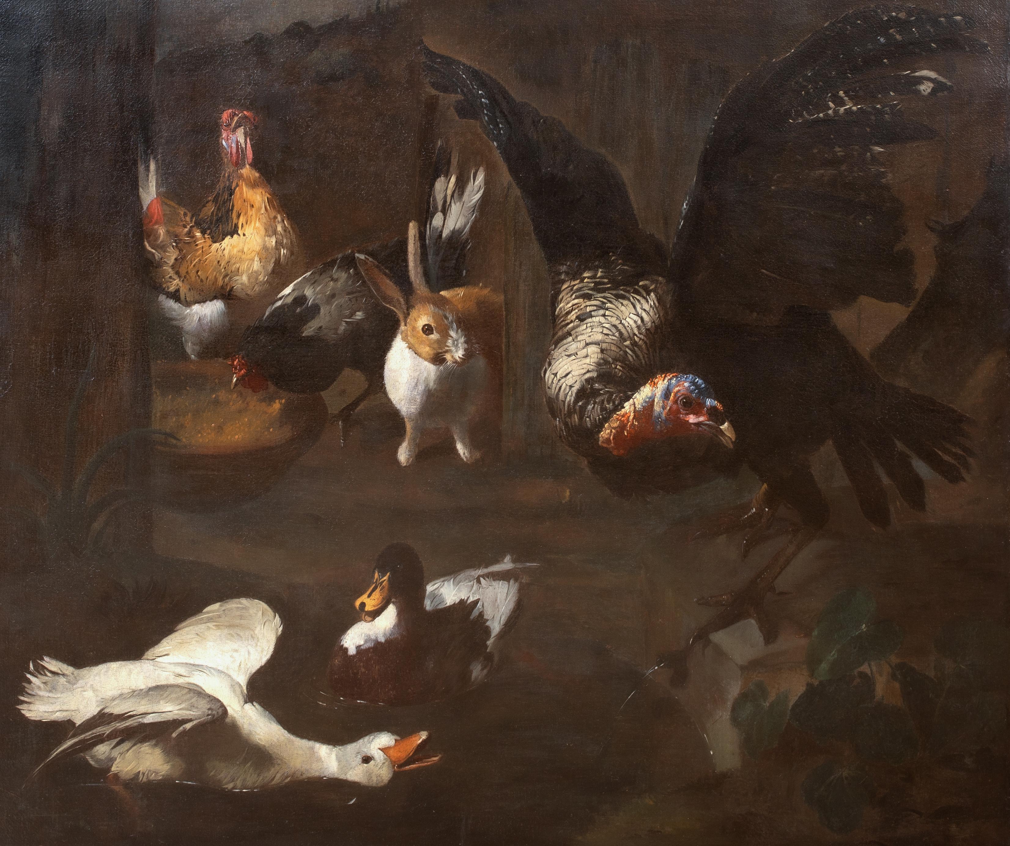 Studie über Bauernvogel, 17. Jahrhundert (Schwarz), Animal Painting, von Melchior d'Hondecoeter