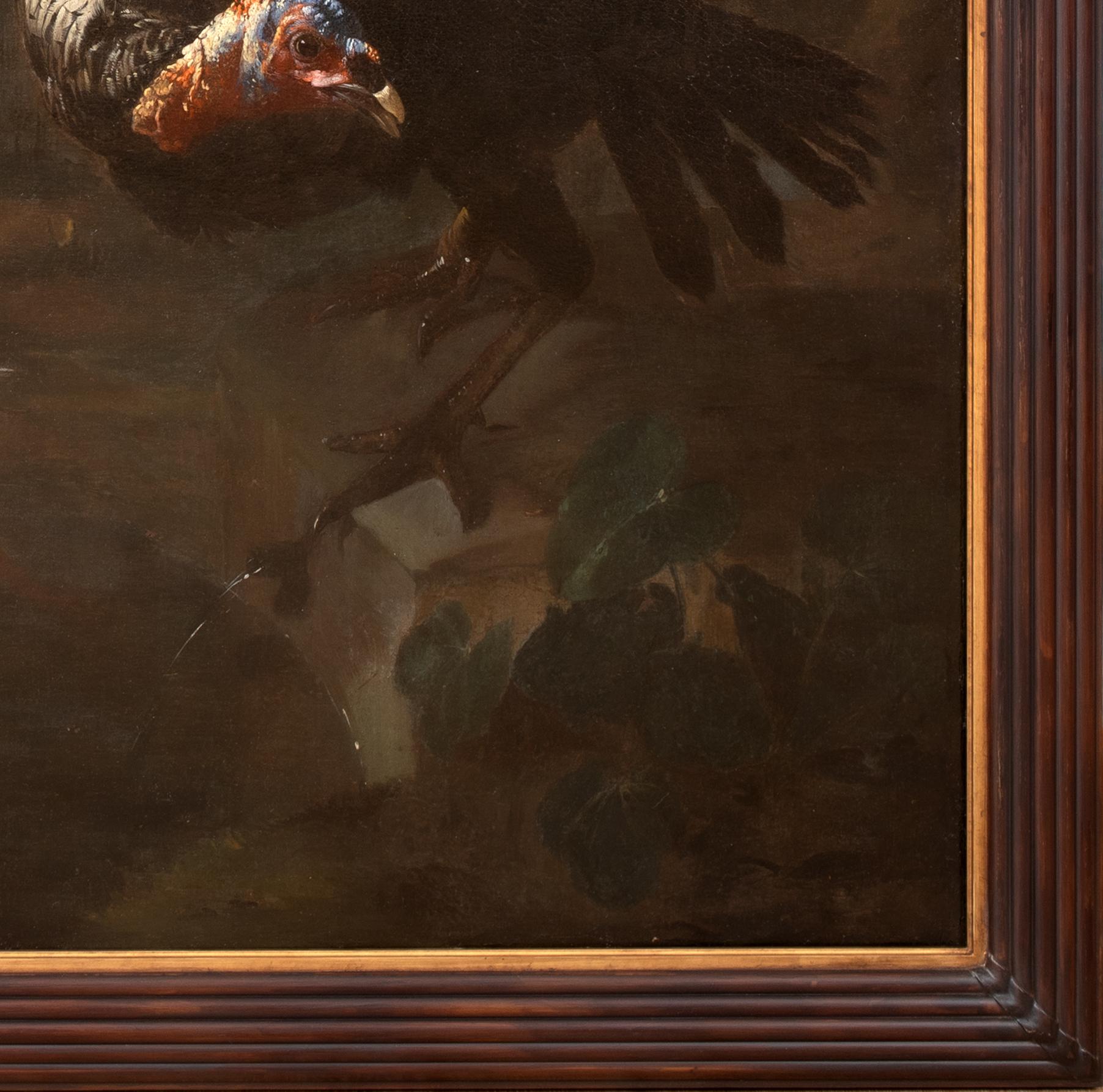 Studie über Bauernvogel, 17. Jahrhundert

wird Melchior DE HONDECOETER (1636-1695) zugeschrieben 

Großes altmeisterliches holländisches Stillleben aus dem 17. Jahrhundert mit verschiedenen Bauernhofvögeln, Öl auf Leinwand, Melchior De Hondecoeter
