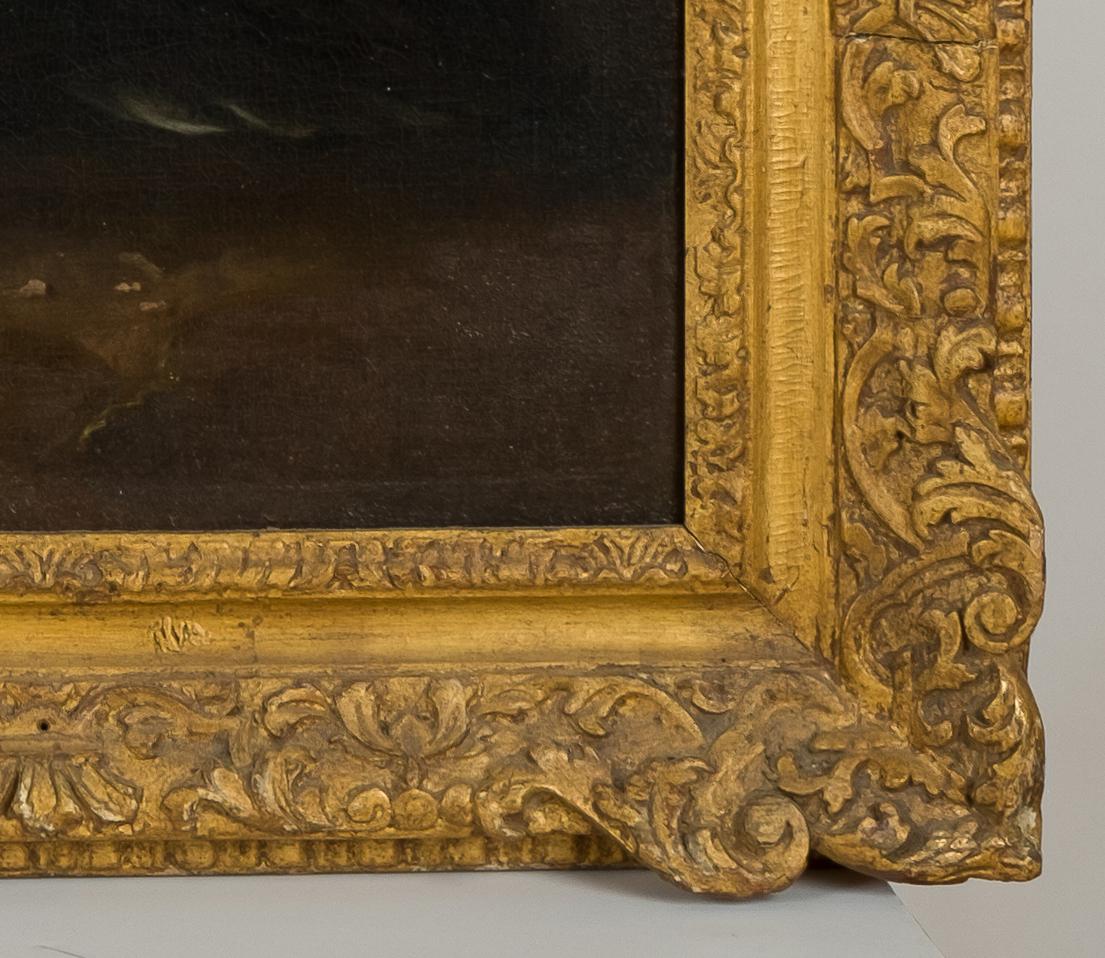 Water Fowl - Black Animal Painting by Melchior d'Hondecoeter