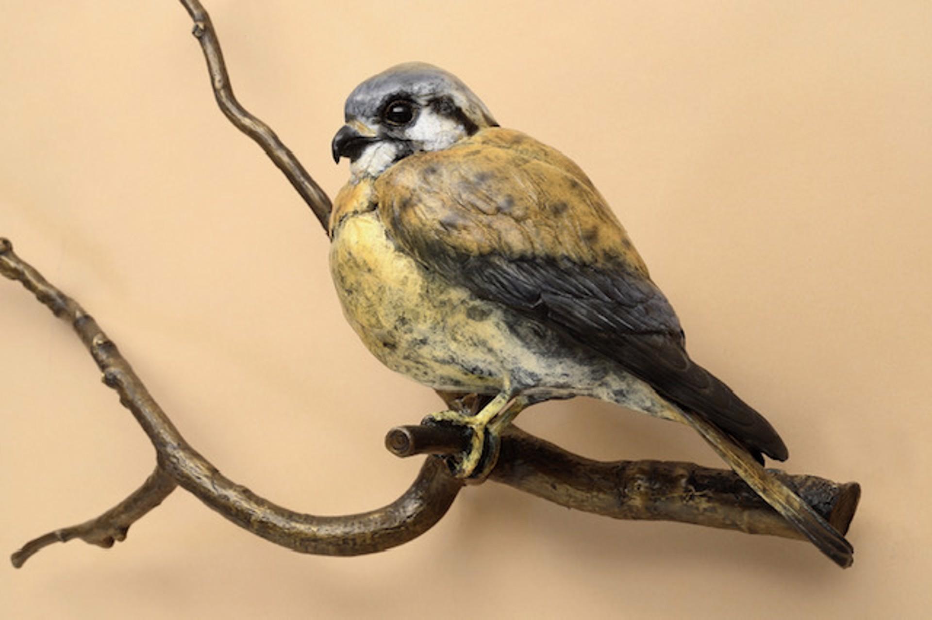 Kestrel - Réalisme Sculpture par Melissa Cooper