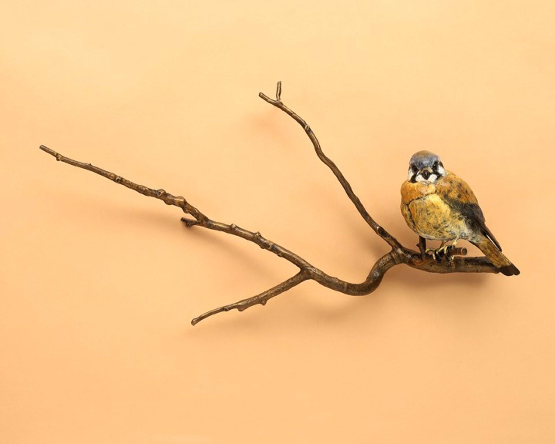 Kestrel