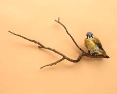 Kestrel