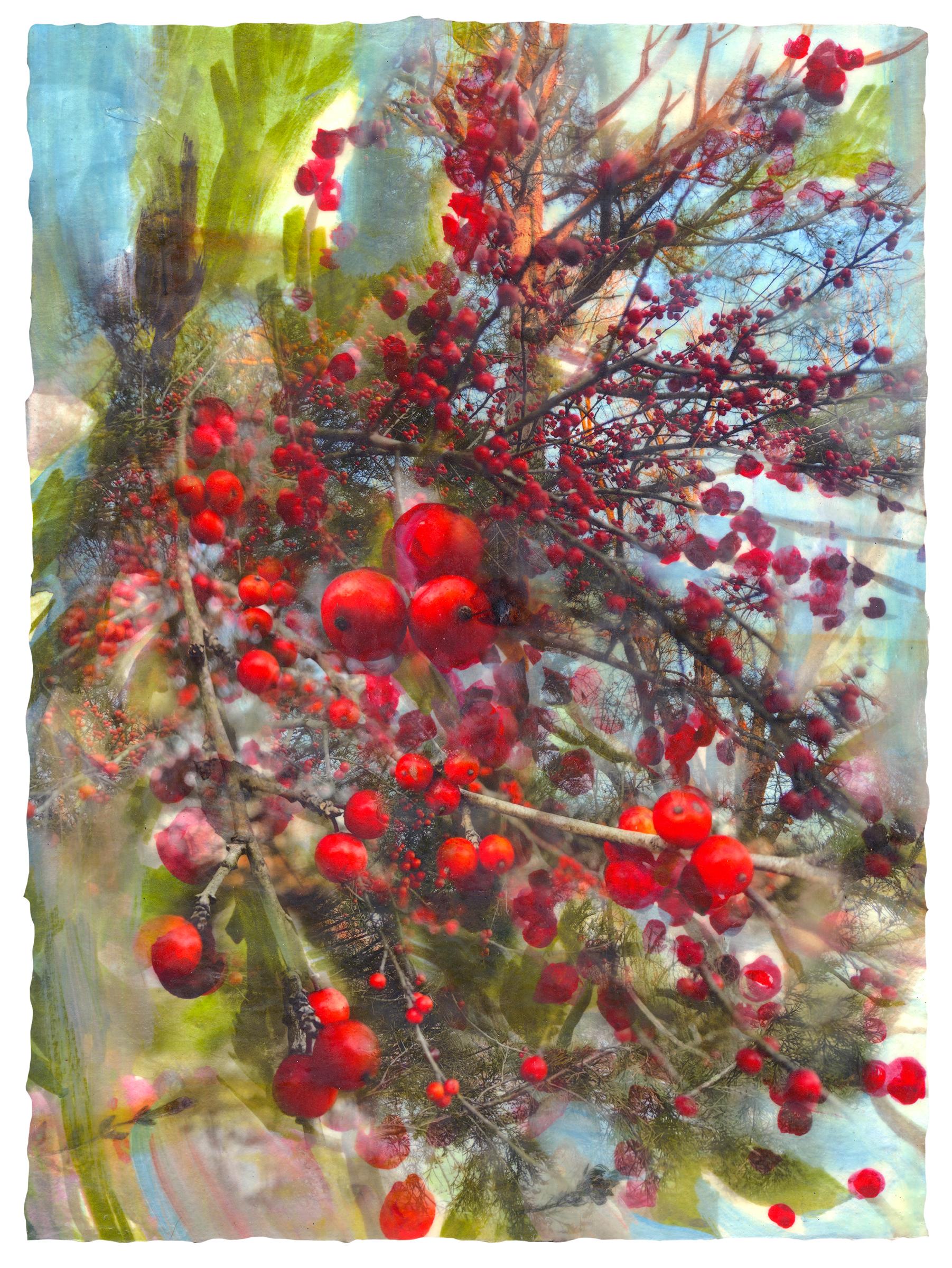 Melissa Cowper-Smith Landscape Painting - "Forgiven (Berries)" encaustic, gouache, pigment print, dried leaves on panel