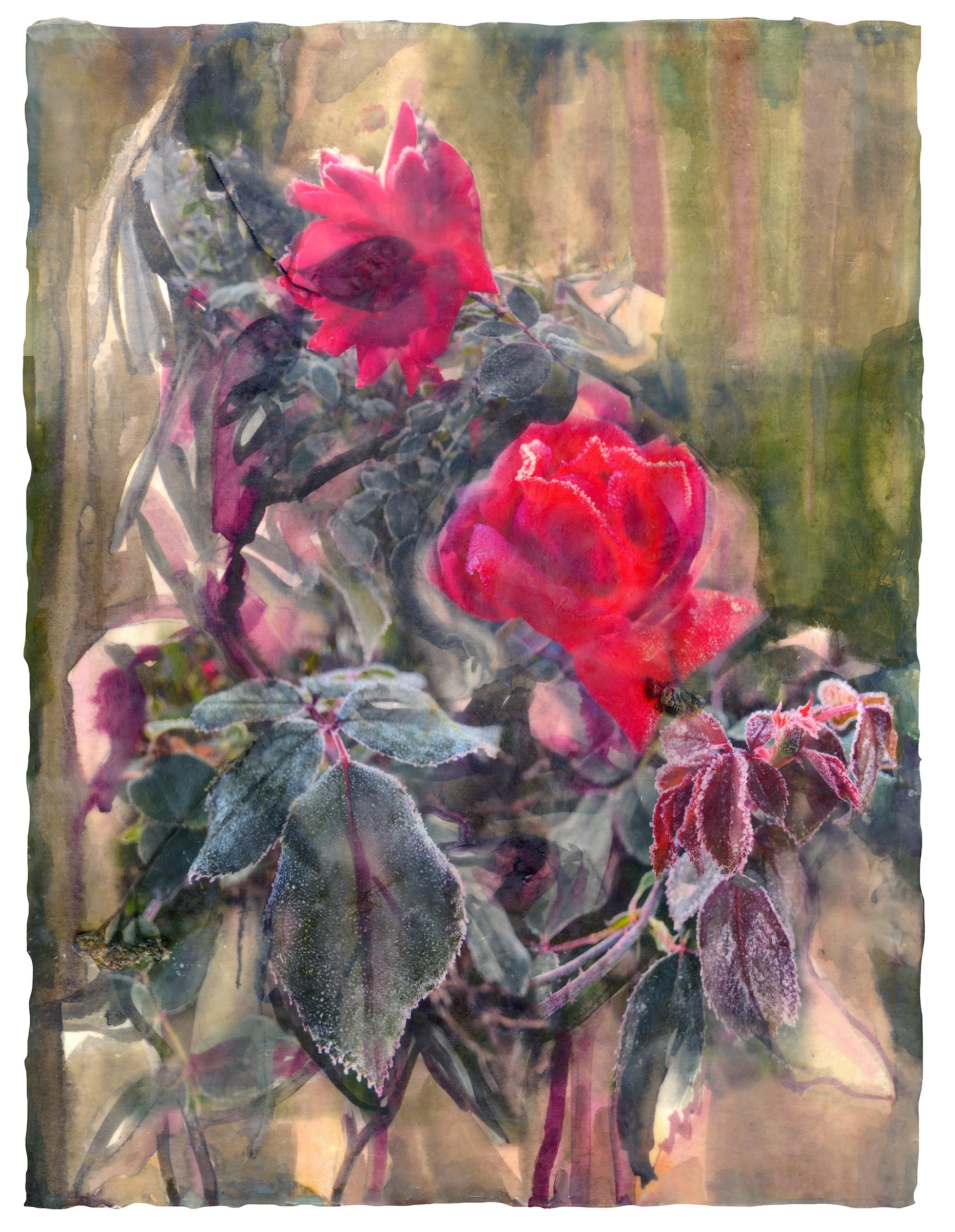 Melissa Cowper-Smith Landscape Painting - Going, We Remember (Roses) encaustic, gouache, pigment print, and dried leaves
