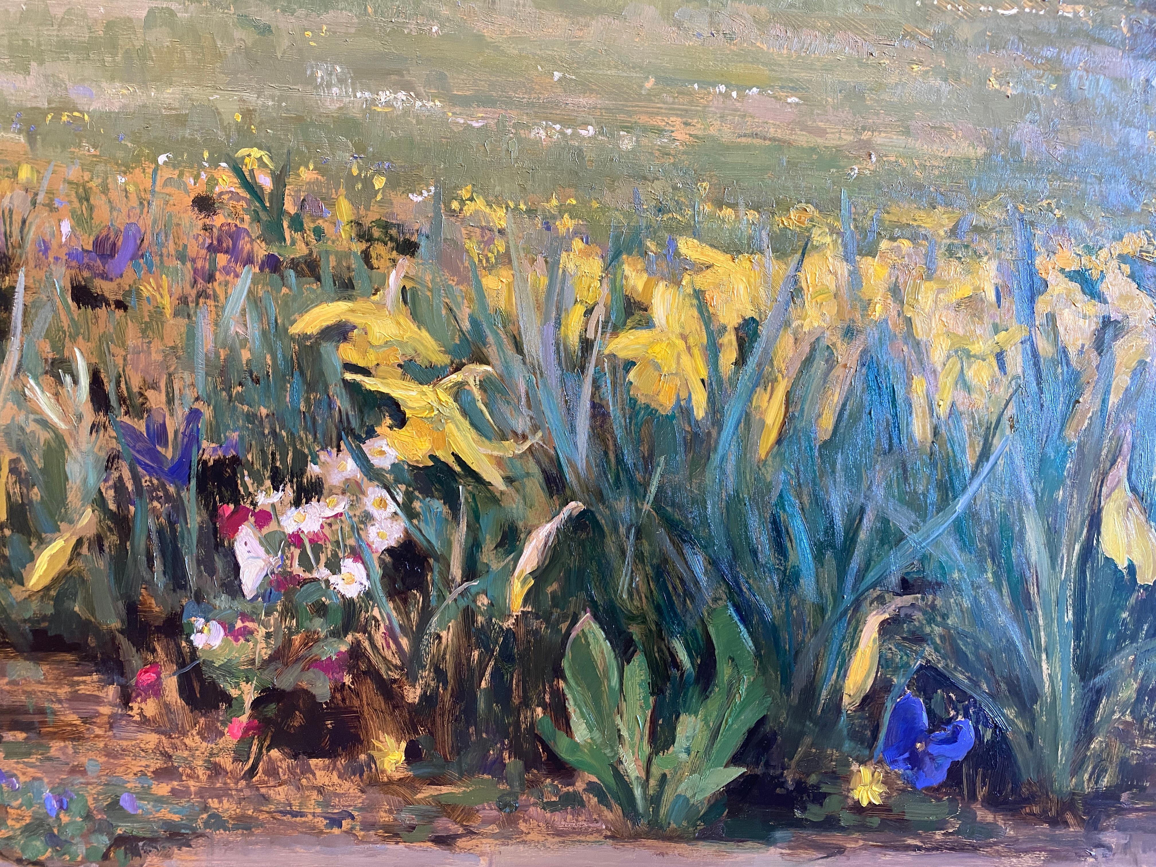 Daffodils in the Sunshine For Sale 1