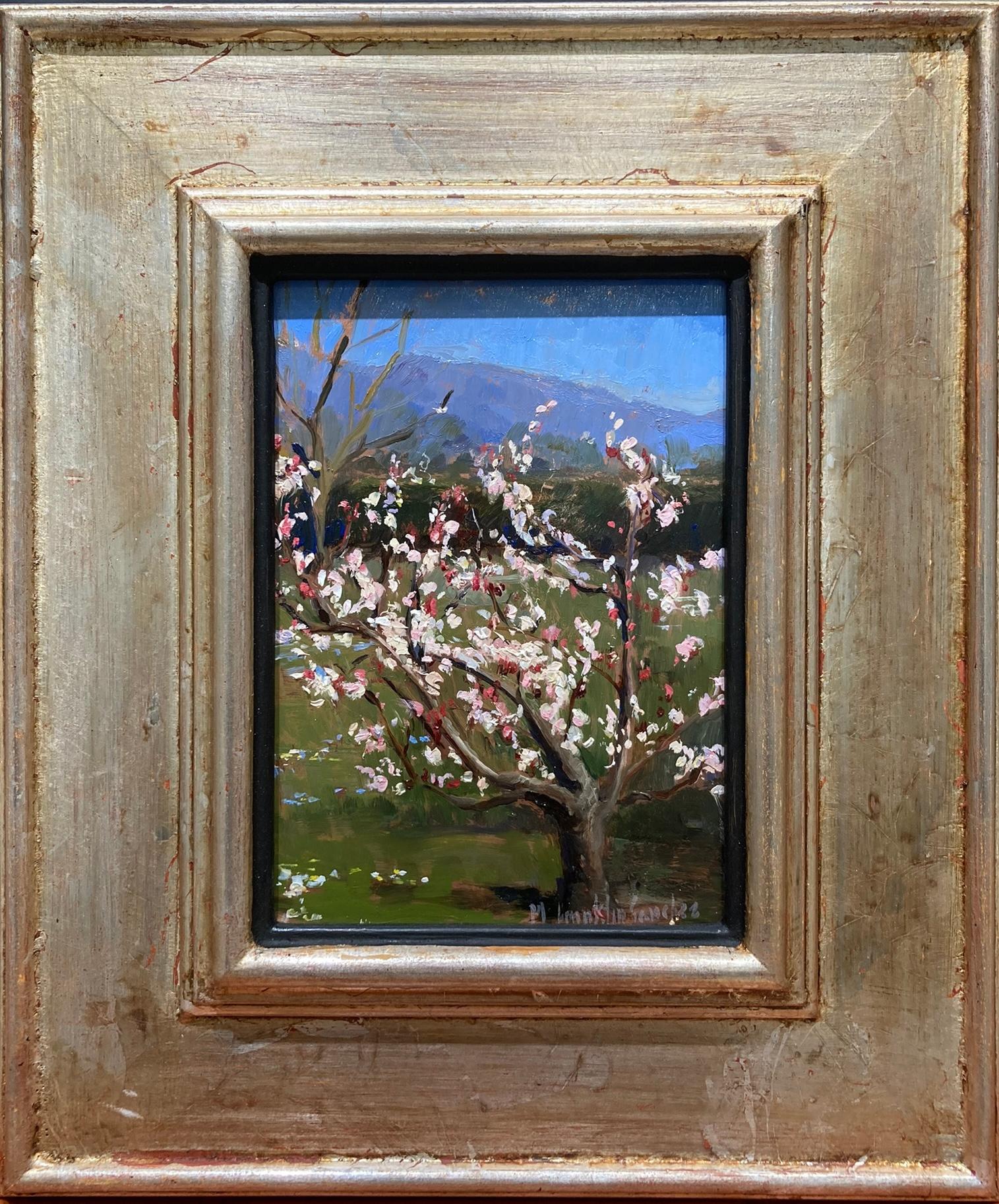 Pear Blossoms - Impressionist Painting by Melissa Franklin Sanchez