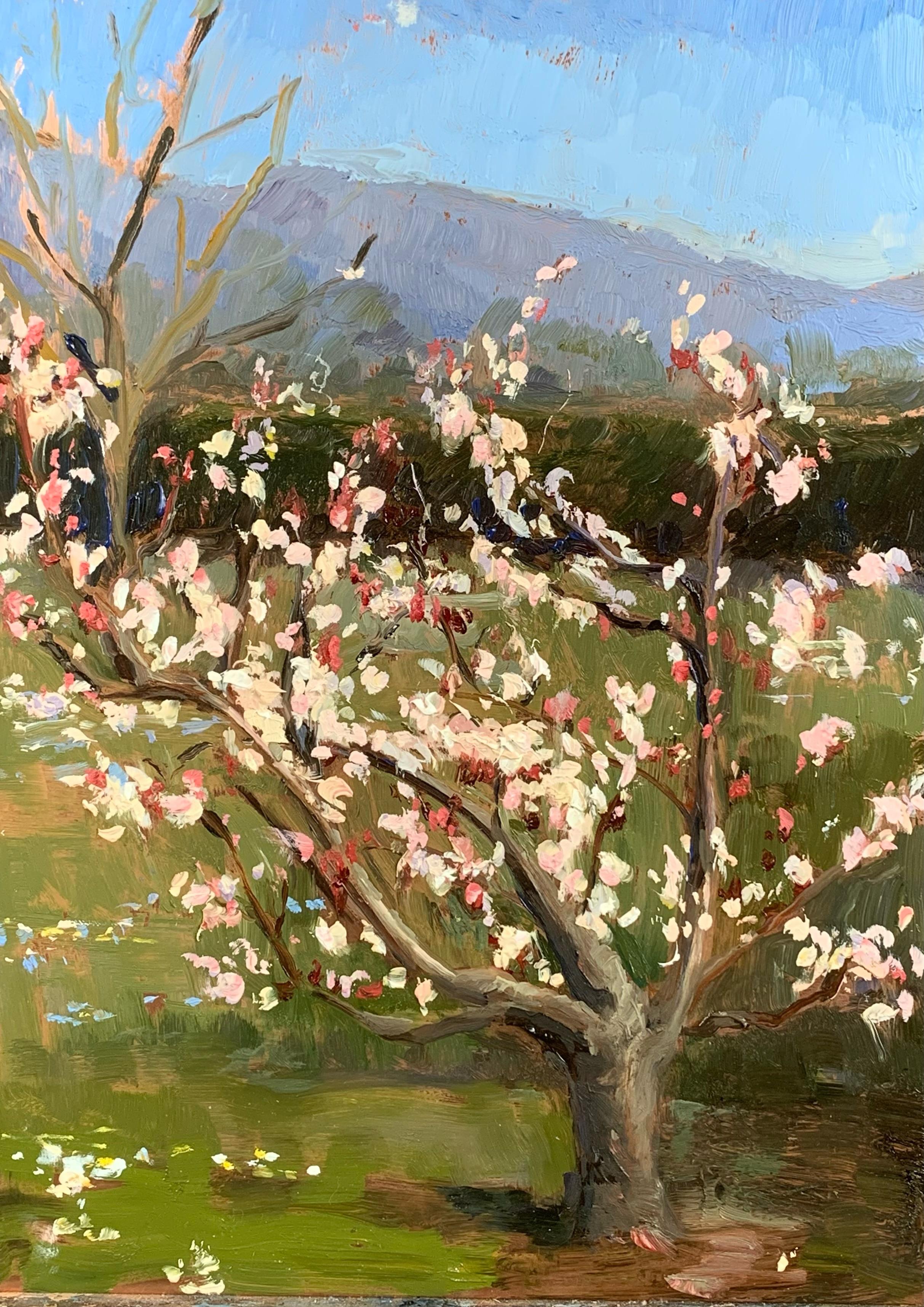 Melissa Franklin Sanchez Landscape Painting - Pear Blossoms