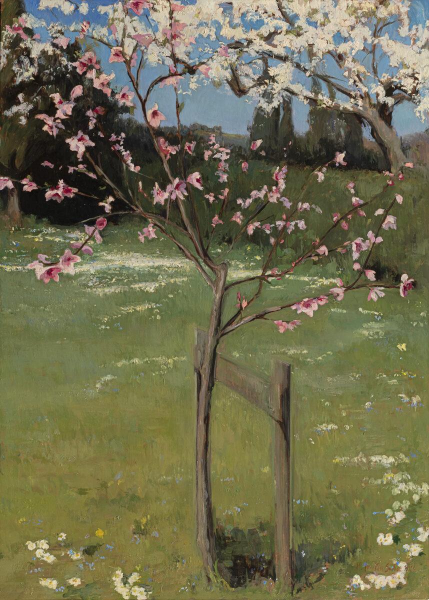 "Le printemps au jardin  Peinture réaliste des fleurs de cerisier