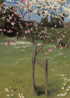 "Spring in the Garden"  realist painting of cherry blossom blooming