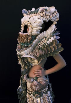 Sea Shells - Skins Series