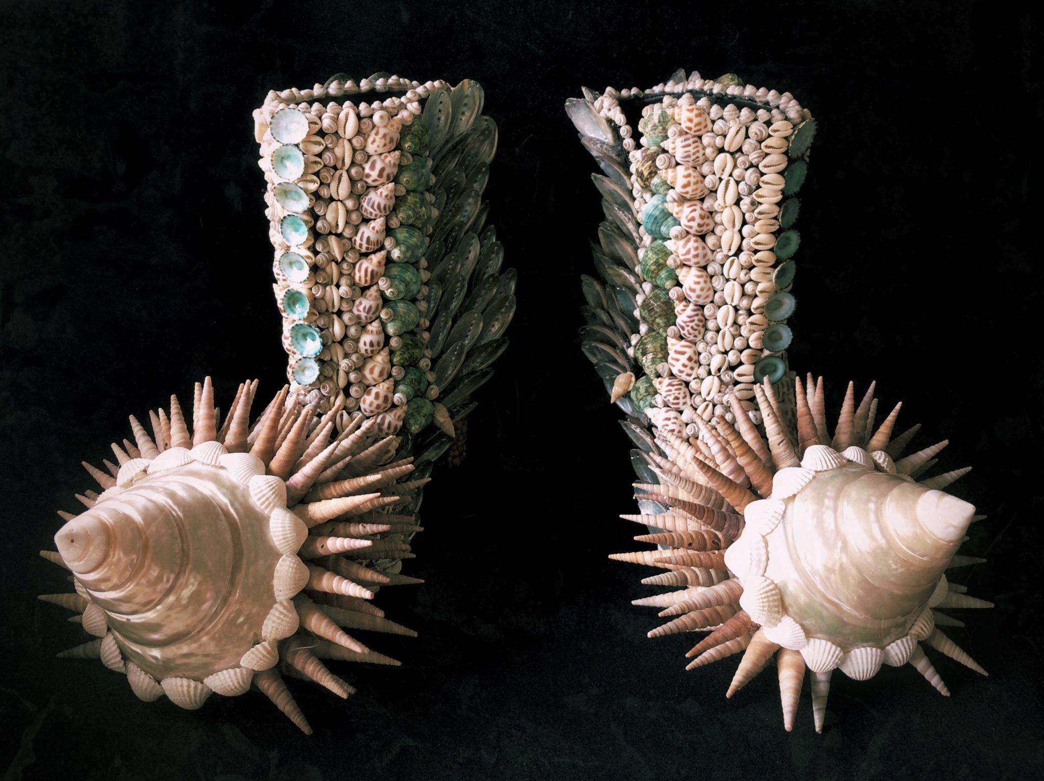 Sea Shells - Skins Series - Contemporary Sculpture by Melissa Meier