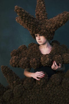 Sweet Gum Ball - Serie Skins