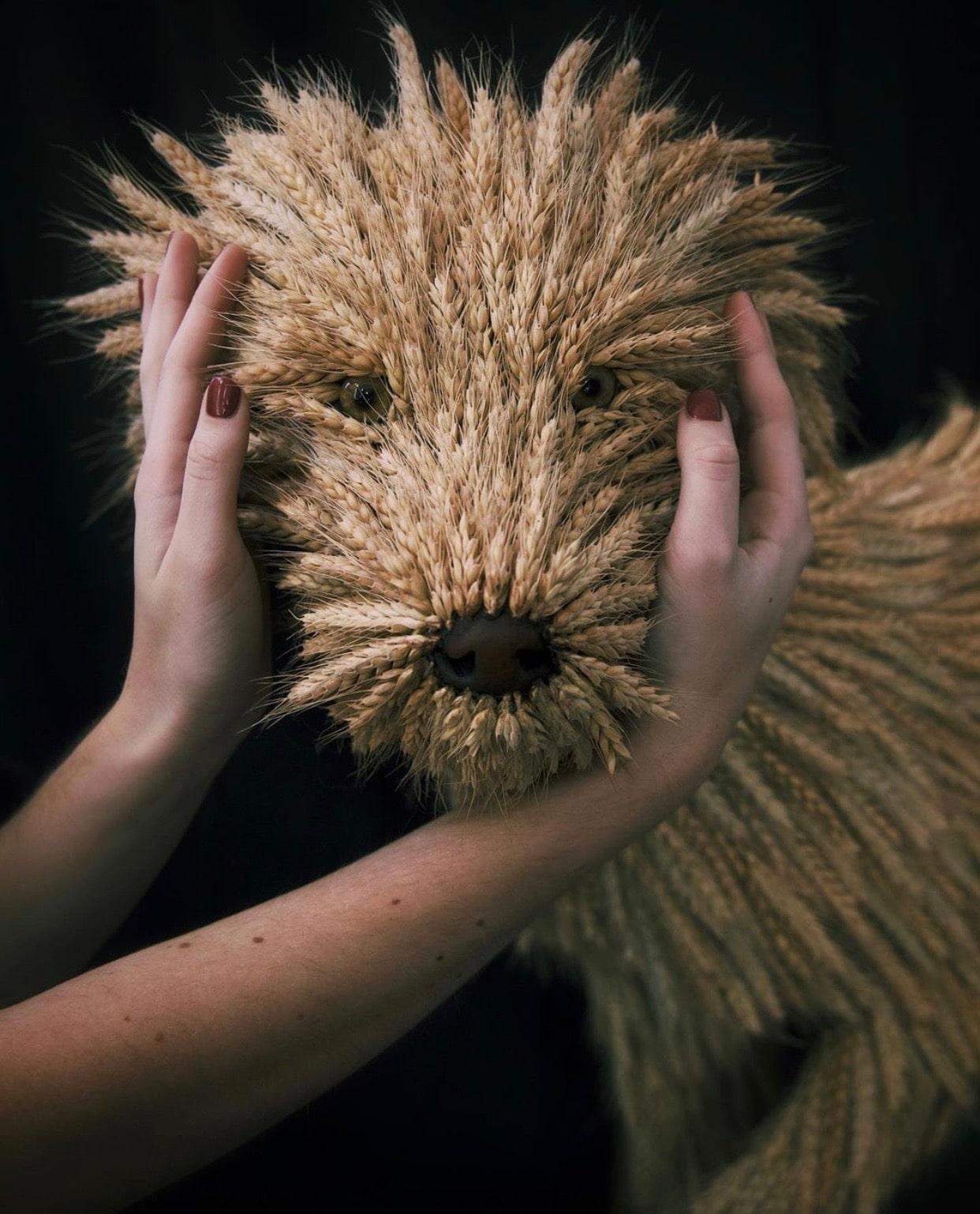 Melissa Meier Figurative Sculpture - Wheat Dog