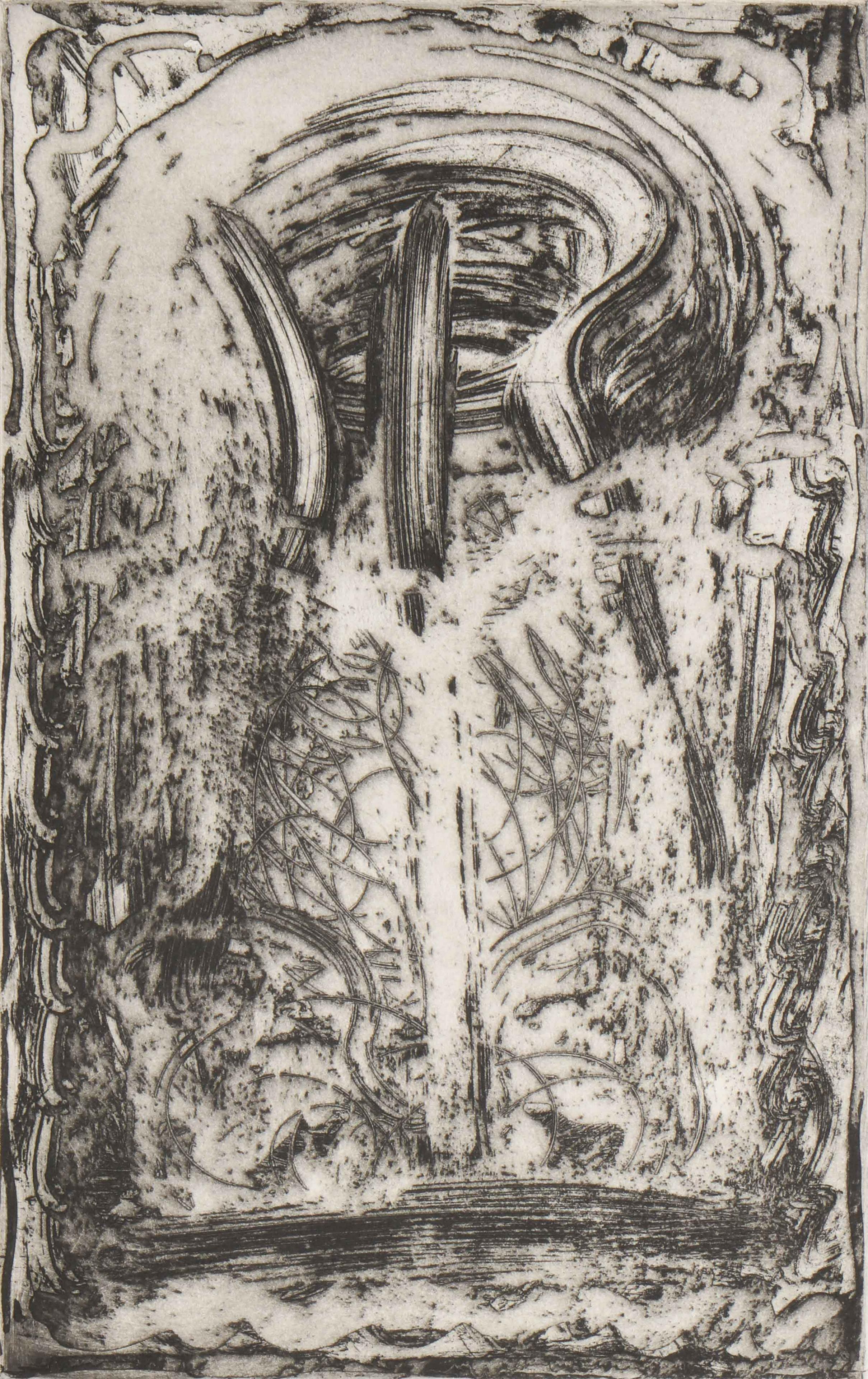 Artista expresionista abstracta estadounidense Melissa Meyer Aguafuerte al aguatinta en venta 1