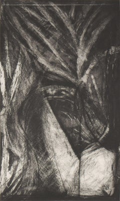 American Abstract Expressionist Artist Melissa Meyer Aquatint Etching